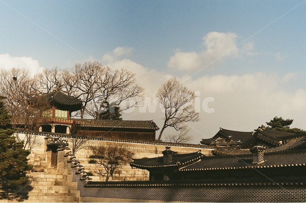 고궁,겨울,문화재,한옥,나무,담벼락,한국전통,한국문화,korean traditional,korean culture,랜드마크,landmark,tourist attraction,한국랜드마크,한국관광지,한국명소,korea landmark,korea tourist attraction,건축물,건물외관,exterior,building,structure,architecture,construction