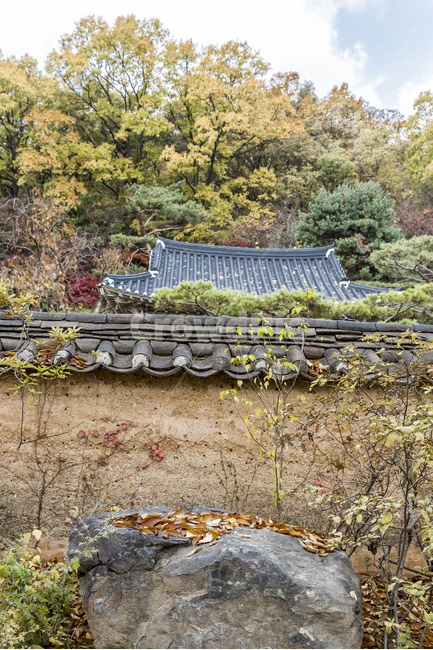 기와,가을,담벼락,흙담,고택,담벽,가을,계절,fall,autumn,season,한국전통,한국문화,korean traditional,korean culture,건축물,건물외관,exterior,building,structure,architecture,construction
