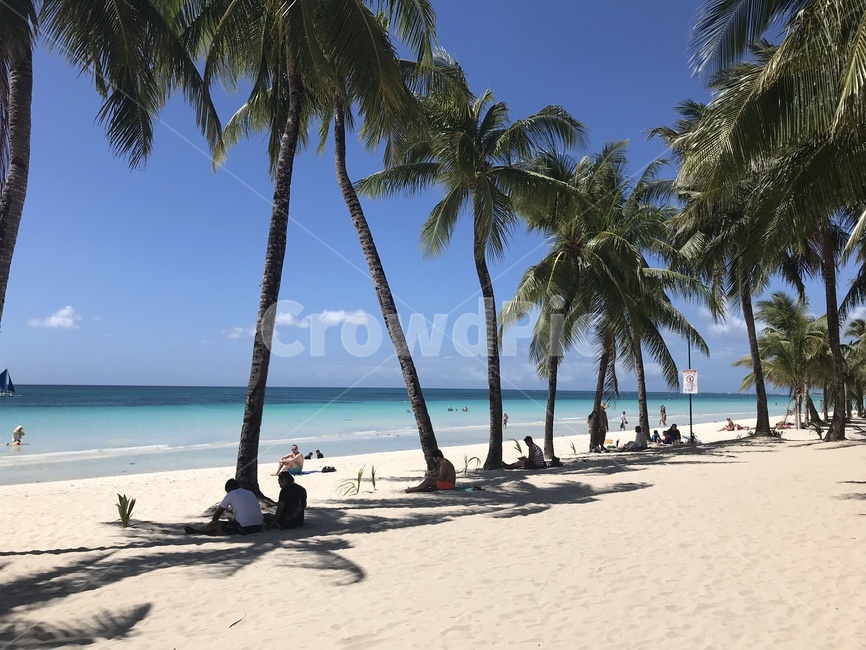 보라카이,해변,에메랄드,바다,해변가,모래사장,자연,풍경,여행,travel,구름,하늘,야자수,나무