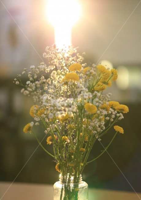 감성,꽃,스냅,빛,일상,물병,할레이션,flower,blossom,식물,자연,plants,nature,꽃,flower,실내용화초,화분,화초,house plant,휴식,힐링,rest,relaxation,healing,인테리어,실내디자인,interior design