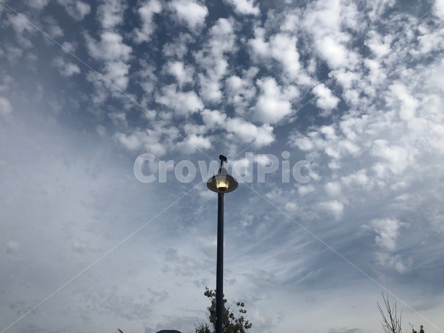 새털구름,구름,lamppost,가로등,램프포스트,자연