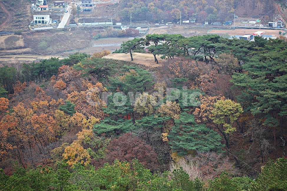 전등사,성,성곽,산성,둘레길,길,숲,숲길,담,돌담,가을,자연,풍경,벽,방어벽,낙엽,단풍,가을,계절,fall,autumn,season,자연,풍경,nature,landscape,식물,plants,나무,trees,wood