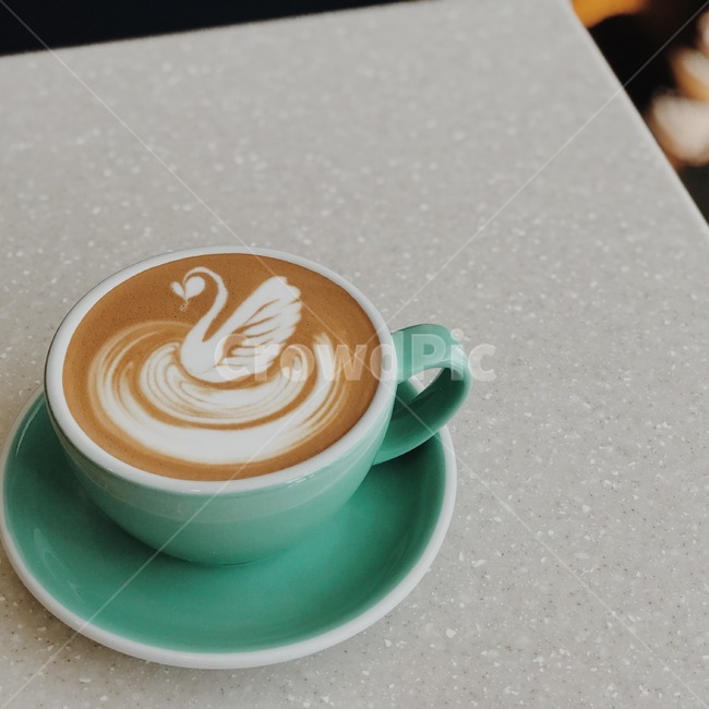 스완,백조,라떼아트,라떼,아트,커피,커피,카페,coffee,cafe,감성,sensible,feeling