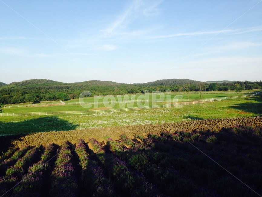 잔디,들판,숲,힐링,풍경,자연,풍경,nature,landscape