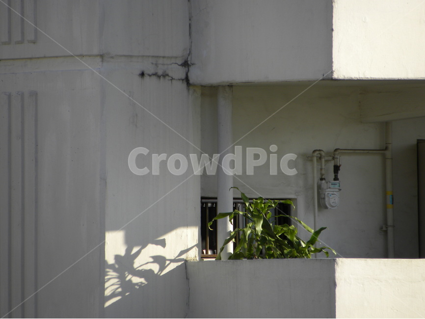 화단,아파트,광합성,그림자,균열,garden,flowergarden,roofgarden,photosynthesis,shadow,crack,건축물,건물외관,exterior,building,structure,architecture,construction