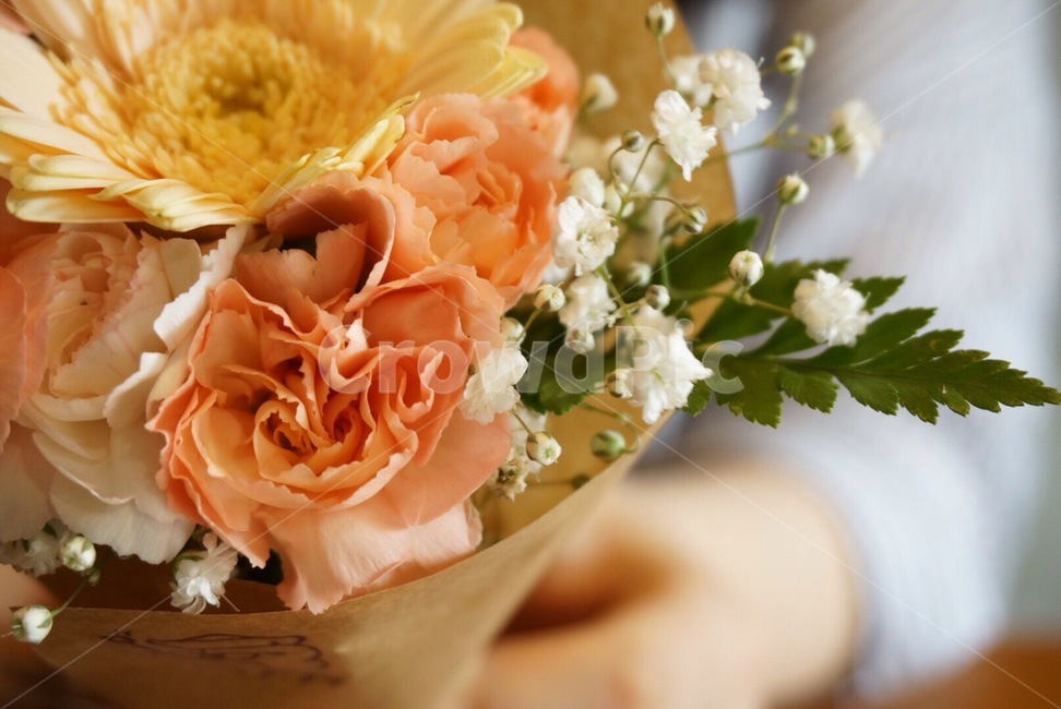 봄날,봄꽃,봄카페,꽃부케,flowerbouquet,flower,꽃,blossom,꽃,flower,기념일,축하,anniversary,congratulation,celebrate,celebration