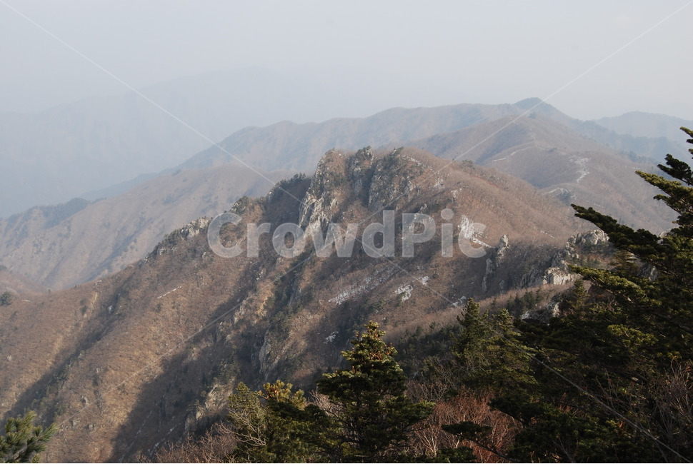 노인봉,오대산,100대명산,소금강,강원,산행,힐링,자연,감성,등산,계절,여행,한국,한국명산,한국등산,풍경,눈,나무,하늘,바람,바람소리,환경,생태계,산,땅,겨울,계절,winter,season,자연,풍경,nature,landscape,한국자연풍경,한국자연경관,korea nature landscape,plant,식물,abies,아비,fir,전나무,tree,slope,경사,outdoors,옥외