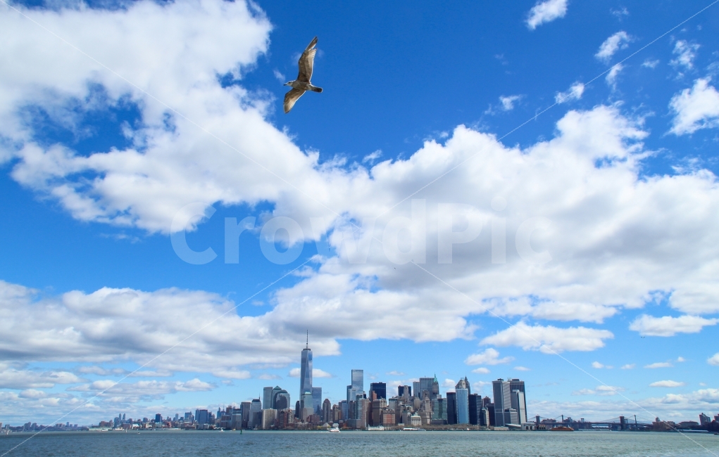 	뉴욕,NewYork,맨하탄,스카이라인,뉴욕풍경,여행,풍경,미국,NYC,NY,도시,대도시,경관,마천루,고층,빌딩,고층빌딩,상업지구,여행지,관광,관광지,허드슨,강,허드슨강,다리,대교,교량,유명,랜드마크,파란,하늘,도심,구름,멋진,미국여행,뉴욕여행,여행사진,경치,skyline,skyscraper,건물,건축,건축물,manhattan,세계무역센터,1WTC,원월드,무연센터,landmark,갈매기,seagull,자유,비상,날개,도시,풍경,city,landscape,해외,외국,세계,foreign,oversea,world,세계도시풍경,해외도시풍경,외국도시풍경,world cityscape,동물,animal,조류,새,birds,bird