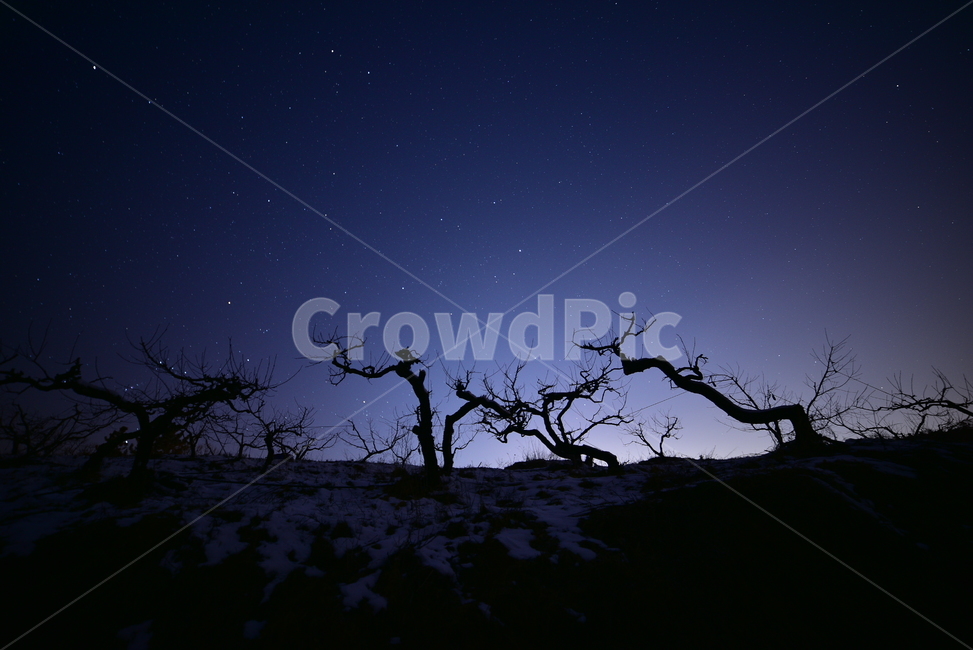 경산,반곡지,별,우주,겨울,하늘,자연,풍경,nature,landscape,야경,밤,nightscape,night,outdoors,옥외,astronomy,천문학,universe,starry sky,별이 빛나는 하늘,outer space,대기권 밖,space