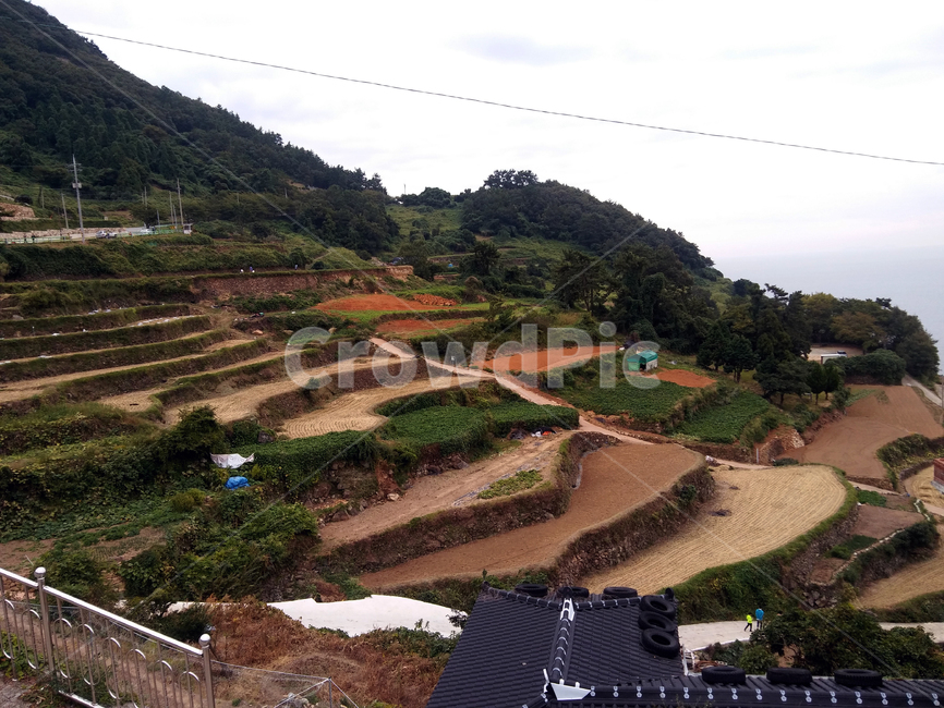 rice terraces,Rural,rice paddy,nature,Terrain rice field,countryside,rural house,south sea,rural village,Daraengi Village,natural scenery,field,Town,farming,Gyeongsangnamdo