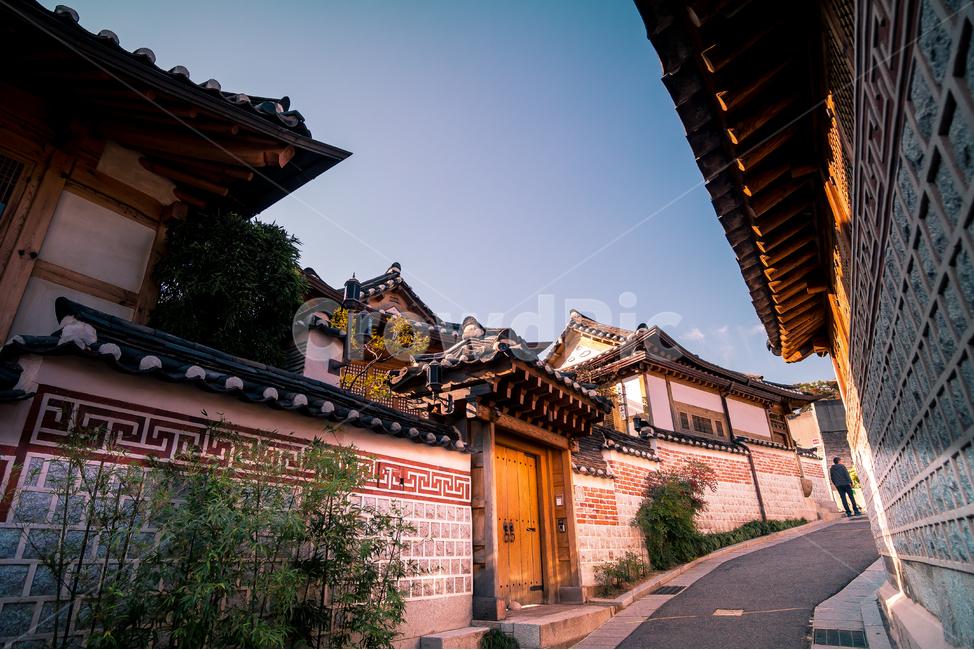 서울,한옥,가을,노을,일몰