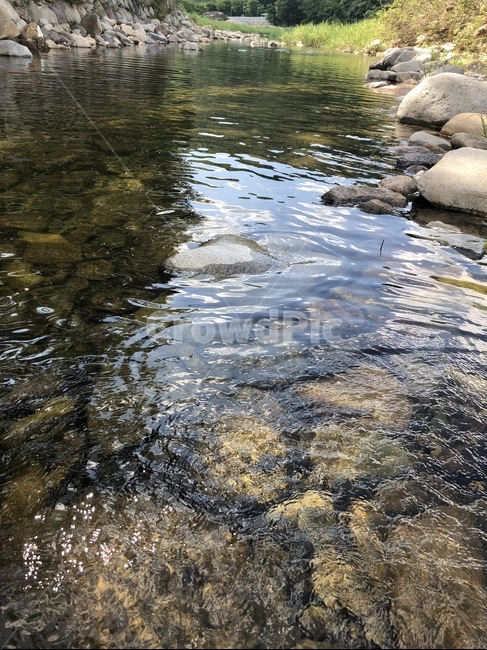계곡,맑은,물,물결,돌,시원한,자연,풍경,nature,landscape,water,outdoors,옥외