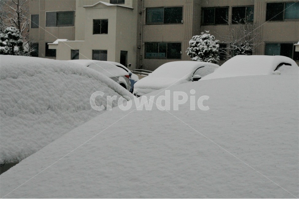 폭설,겨울,주차장,풍경,자동차,승용차,주차,계절,겨울,계절,winter,season,도시,풍경,city,landscape,교통,교통수단,traffic,transportation,storm,폭풍,nature,자연,outdoors,옥외,blizzard,눈보라,snow,눈