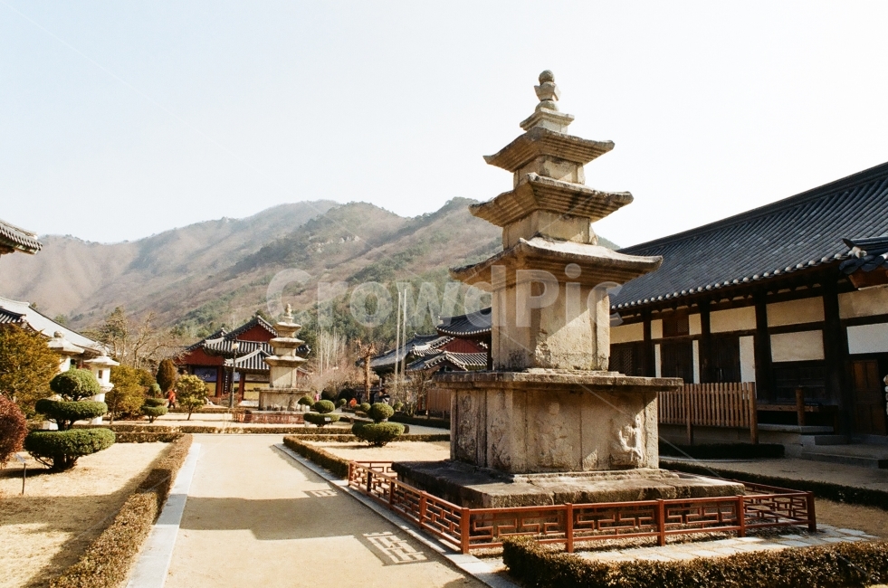 청도운문사,운문사,석탑,사찰,절,불교,한국전통,한국문화,korean traditional,korean culture,조각상,동상,석상,조형물,statue,bronze statue,stone statue,종교,신앙,religion,belief,faith