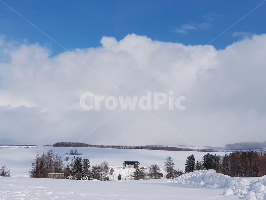 삿포로,비에이,눈,풍경,겨울풍경,구름,겨울,계절,winter,season