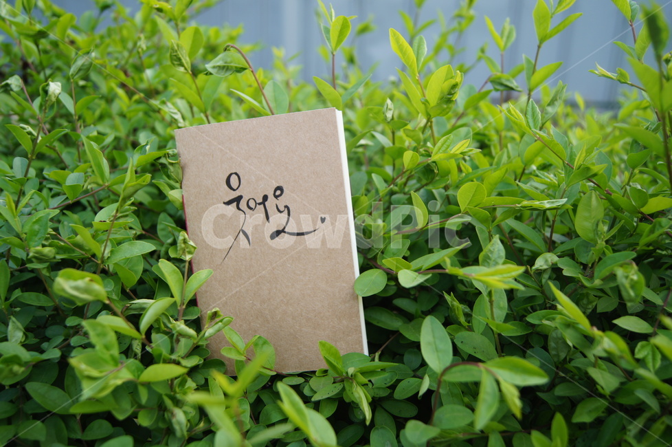 손글씨,캘리그라피,웃어요,희망,봄,새싹,웃음,캘리,캘리그라피,손글씨,calligraphy