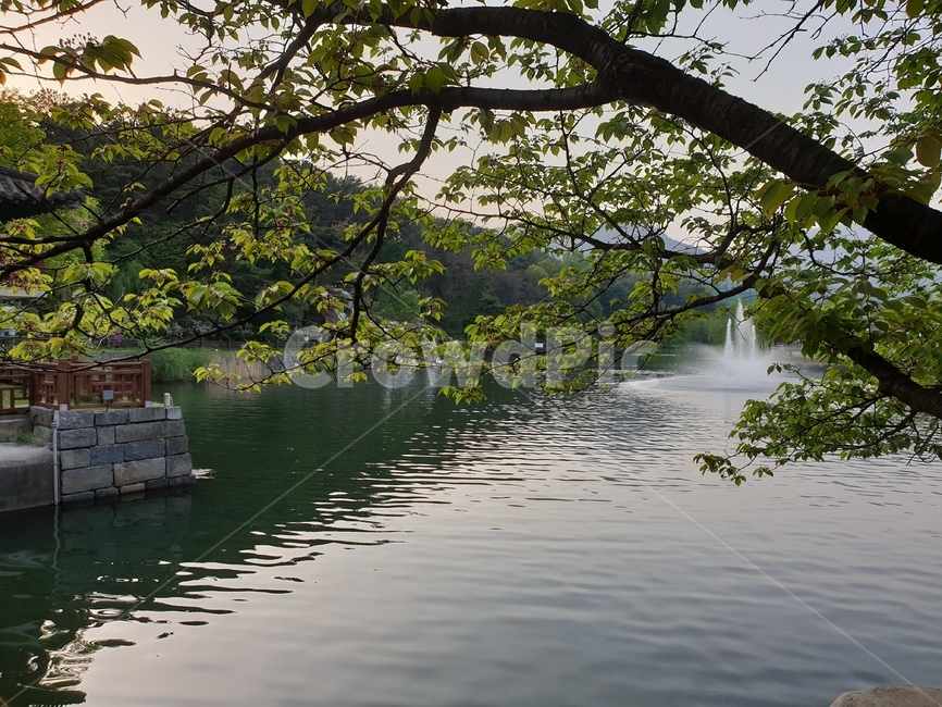 호수,공원,나무,분수,lake,park,tree,fountain