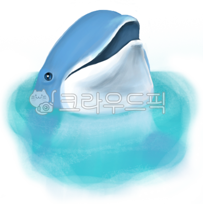 ocean,Dolphin,tourism,vacation,animal,summer,dolphin show