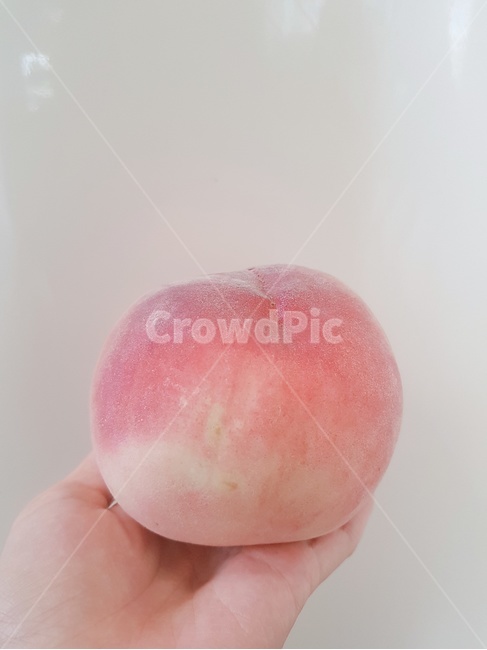 과일,복숭아,백도,제철과일,털복숭아
