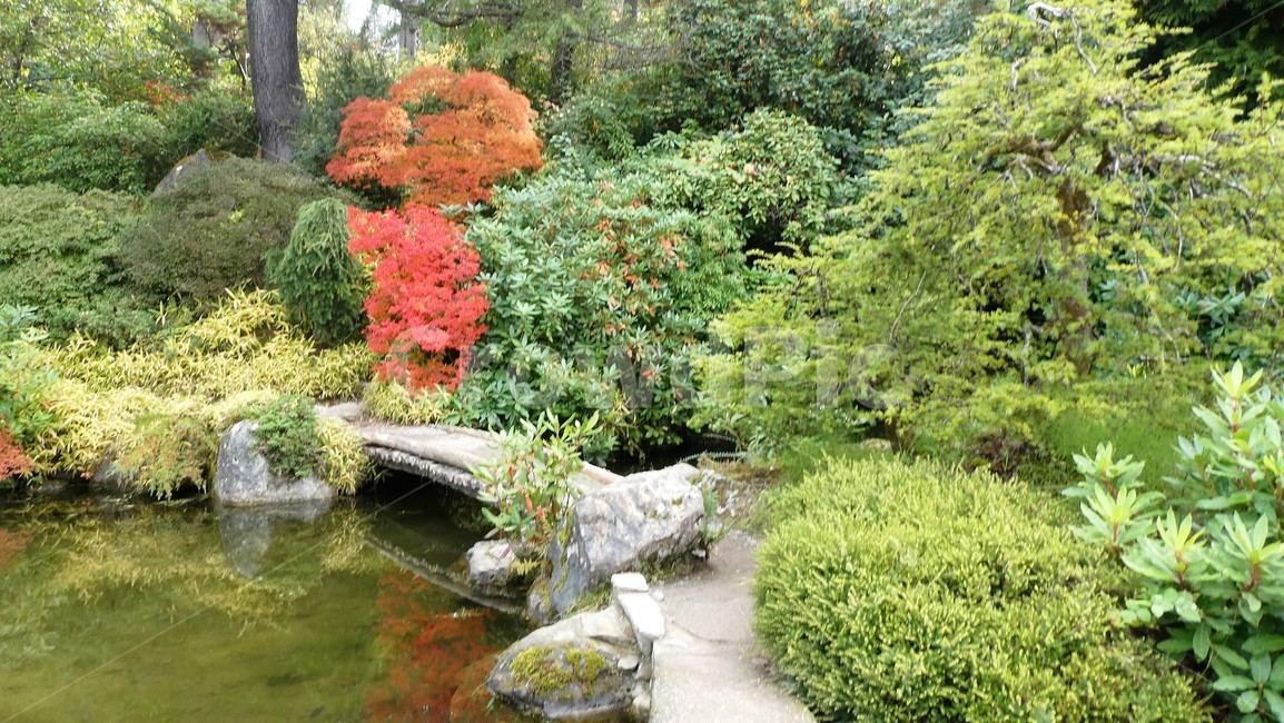 호수,다리,자연,정원,landscape,garden,자연,풍경,nature,landscape,나무,trees,wood,outdoors,옥외,water,물