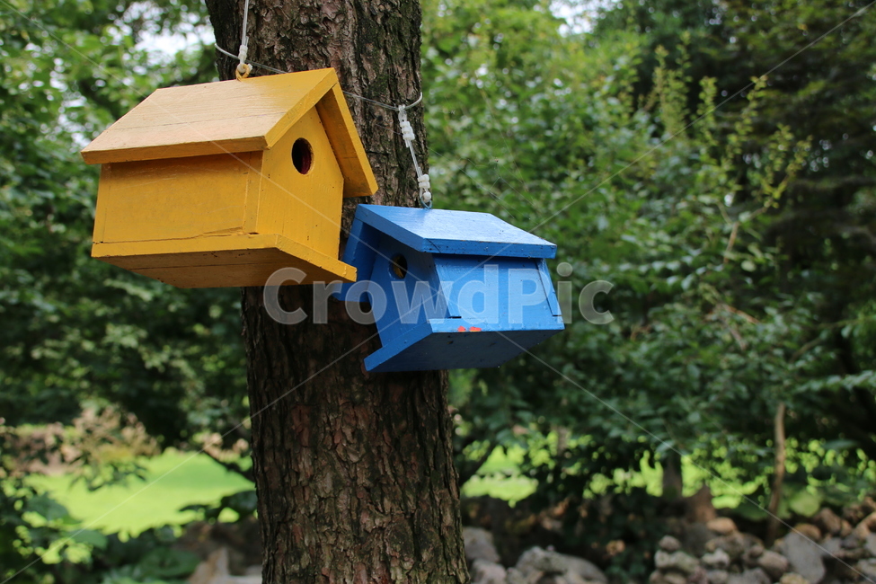 새장,미니집,나무,자연,풍경,자연,풍경,nature,landscape,사물,물건,오브젝트,thing,object,matter,tree,plant,식물,tree trunk,나무 줄기