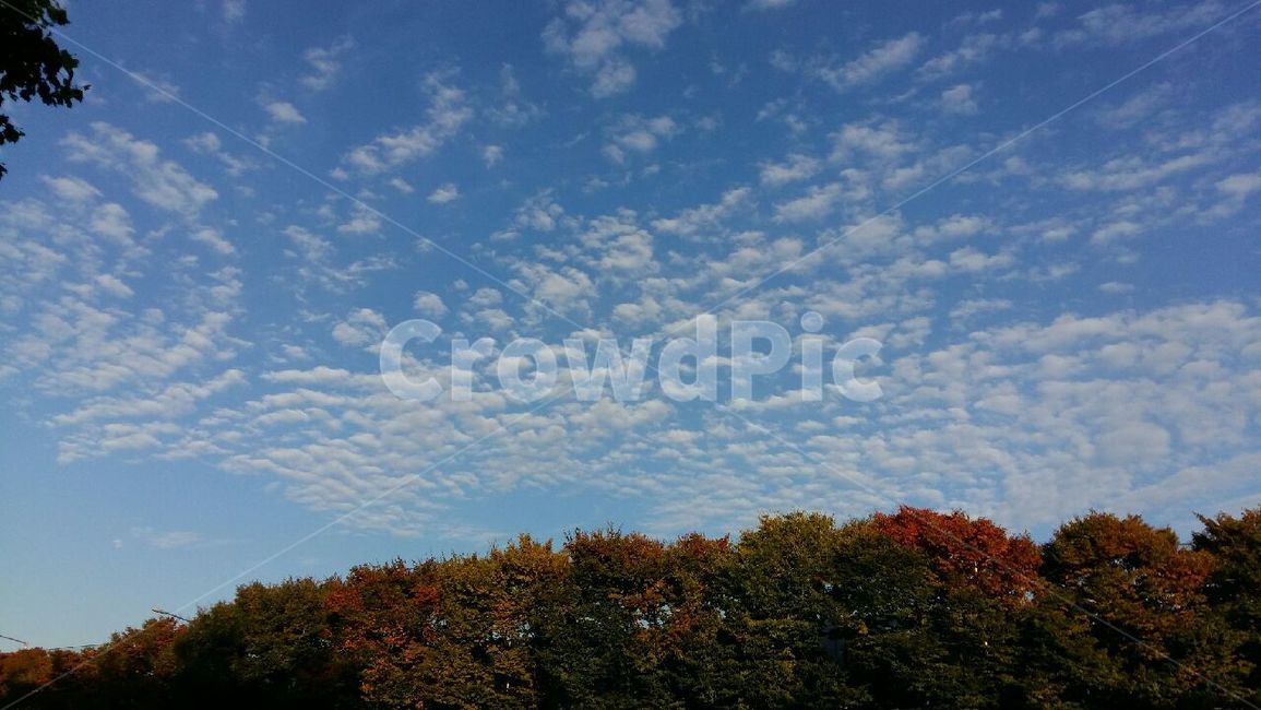 자연,sky,하늘,구름,날씨