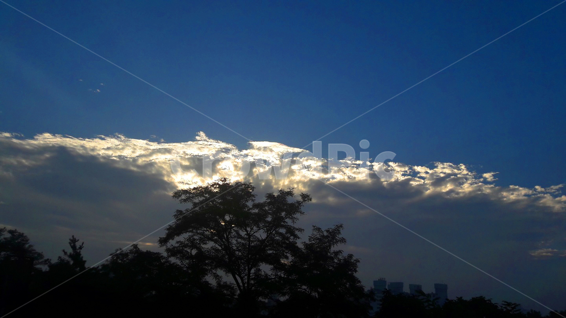 하늘,빛,구름,감성,밝은,햇빛,sun,sunlight,cloud,나무,tree