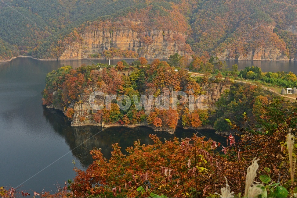 tree,나무,plant,식물,leaf,잎,maple,단풍,화순,적벽,화순적벽,적벽가을,계절,추색,만추,가을,nature,자연,outdoors,옥외,물,강