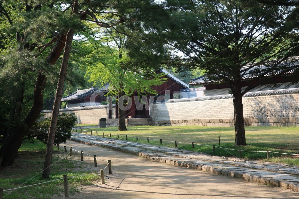 조선,종묘,풍경,왕조,사당,건축,왕가,사적,제례,왕실,유네스코,문화유산,기와,조성,조경,한국전통,한국문화,korean traditional,korean culture,랜드마크,landmark,tourist attraction,한국랜드마크,한국관광지,한국명소,korea landmark,korea tourist attraction
