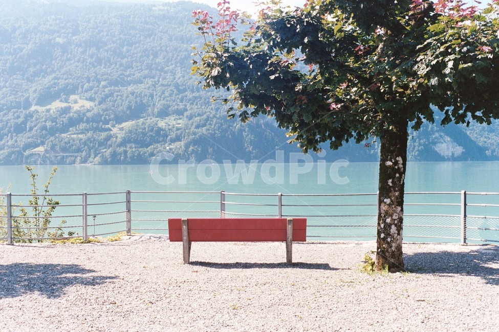 벤치,bench,의자,나무,경치,풍경,강,휴식,힐링,자연,브리엔츠,필름사진,스위스,호수