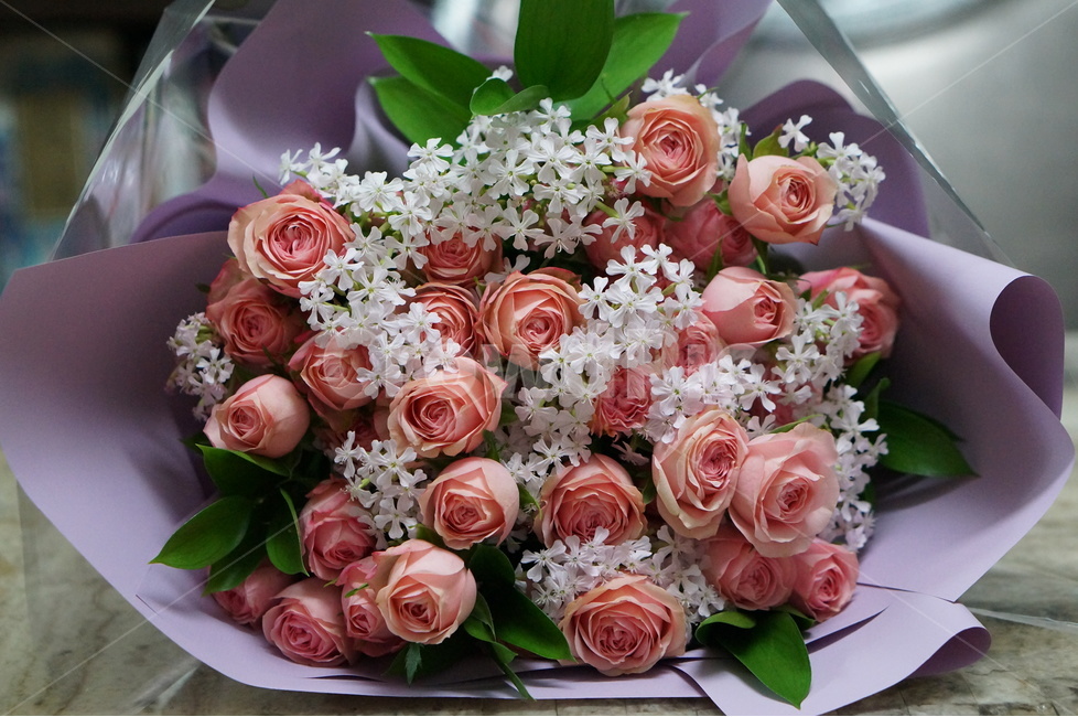 꽃다발,생일,핑크,축하,기념일,꽃,flower,기념일,축하,anniversary,congratulation,celebrate,celebration