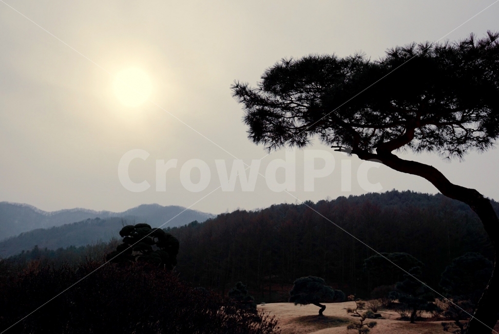흐린날,석양,자연,힐링,감성,자연,풍경,nature,landscape,outdoors,옥외,tree,나무,plant,식물