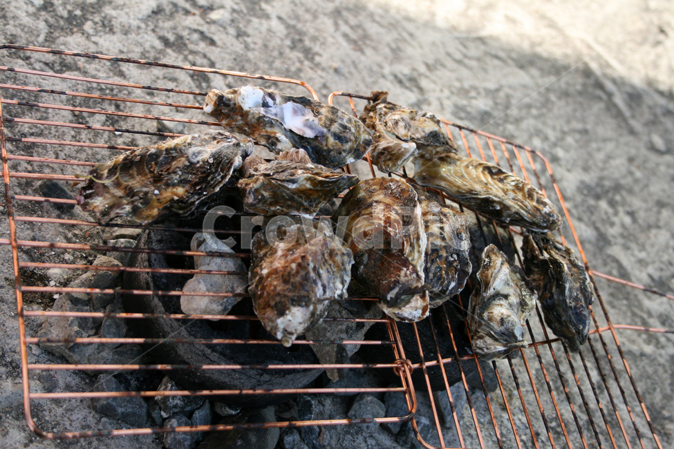 음식,food,구이,석화,석화구이,굴,음식,식재료,요리,food,cook,meal,dishes,food reserves,수산물,해산물,fishery products,seafood