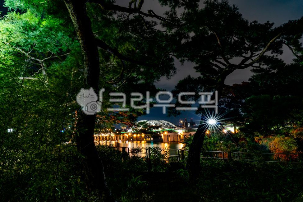 한강,다리,양화대교,풀,야경,도시야경,hangang,river,bridge,plant,tree