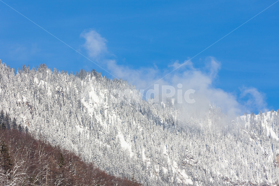 스위스,하늘,겨울,산,눈덮인,눈,숲,겨울,계절,winter,season,자연,풍경,nature,landscape,해외,외국,세계,foreign,oversea,world,세계자연풍경,해외자연풍경,외국자연풍경,world nature landscape,outdoors,옥외,mountain,ice,빙
