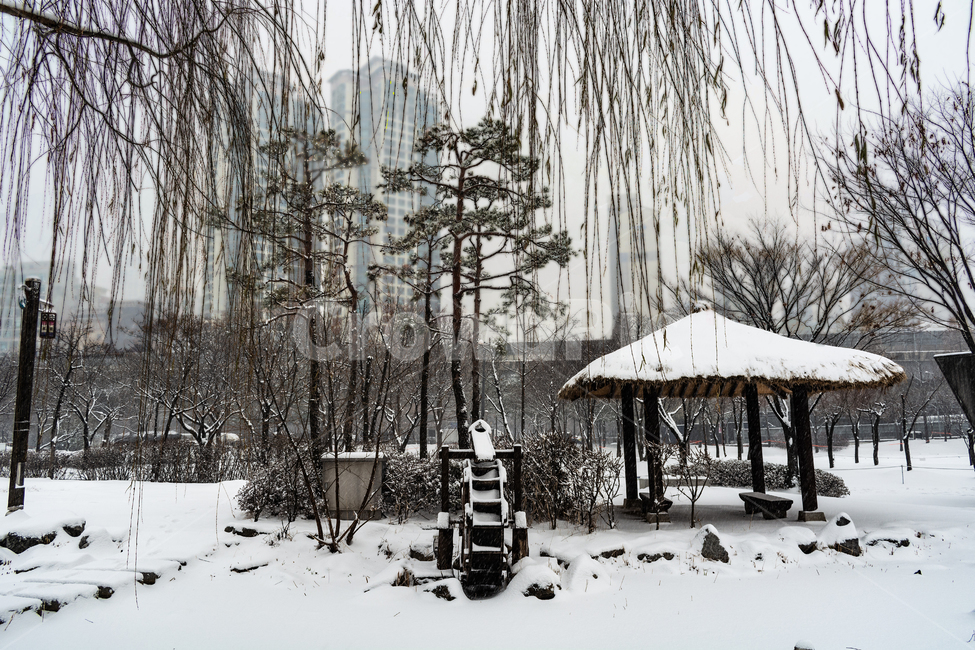 눈발,흰눈,백설,겨울풍경,눈길,겨울,계절,winter,season,도시,풍경,city,landscape,한국도시풍경,한국도시경관,korea cityscape,nature,자연,outdoors,옥외