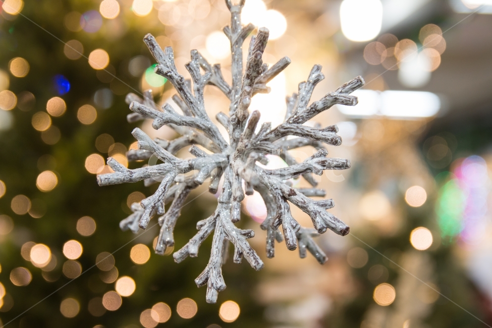 눈,눈결정,크리스마스,장식,오너먼트,xmas,christmas,겨울,명절,홀리데이,holiday,Ornament,오나먼트,장식품,즐거운,행복한,트리,크리스마스트리,트리장식,오브젝트,축제,아기자기한,앙증맞은,귀여운,소품,조명,전구,겨울,계절,winter,season,조각상,동상,석상,조형물,statue,bronze statue,stone statue,기념일,축하,anniversary,congratulation,celebrate,celebration,메리크리스마스,성탄절,merry christmas,감성,sensible,feeling,사물,물건,오브젝트,thing,object,matter