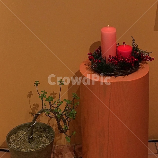 초,장식,deco,가정장식,화분,candle