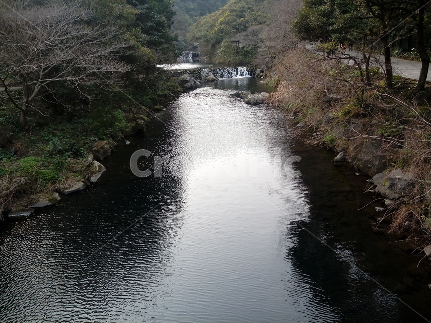 제주도,천지연,물,냇물,산,자연,풍경,nature,landscape,한국자연풍경,한국자연경관,korea nature landscape,제주도,jeju,jeju island,water,outdoors,옥외