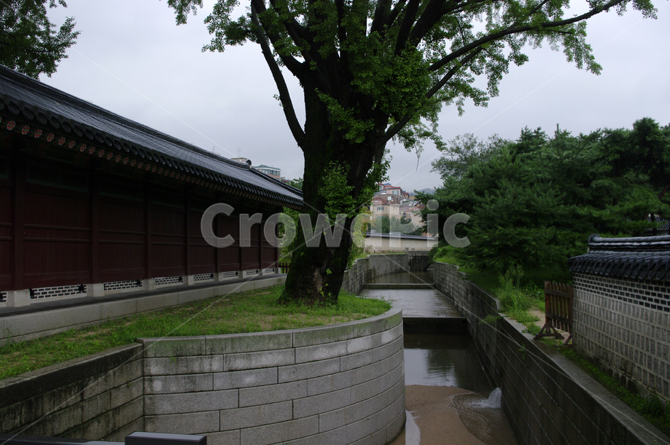 창덕궁,고궁,한옥,전통가옥,기와지붕,건축,traditional,나무,한국전통,한국문화,korean traditional,korean culture,랜드마크,landmark,tourist attraction,한국랜드마크,한국관광지,한국명소,korea landmark,korea tourist attraction,건축물,건물외관,exterior,building,structure,architecture,construction
