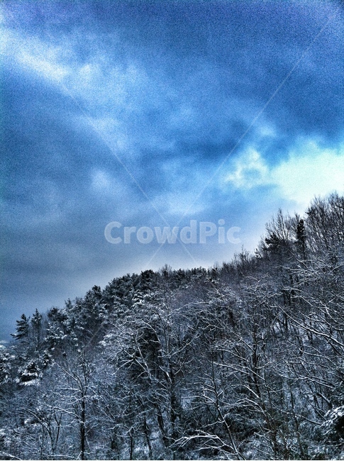 겨울숲,눈,겨울산,숲,겨울,겨울,계절,winter,season,자연,풍경,nature,landscape,tree,나무,plant,식물,fir,전나무,outdoors,옥외