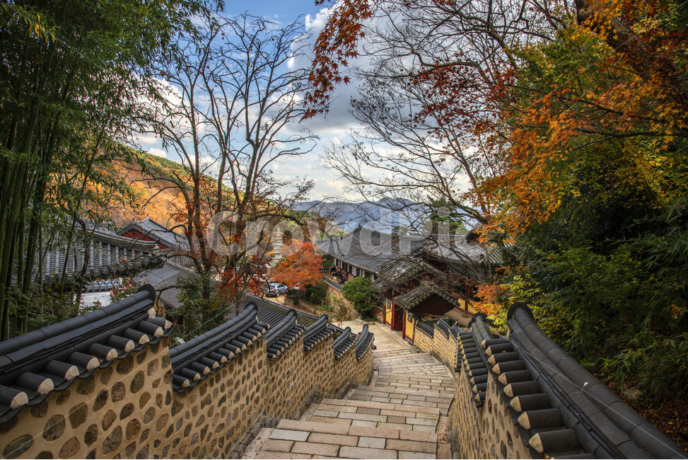 가을,풍경,사찰,절,단풍,가을,계절,fall,autumn,season,한국전통,한국문화,korean traditional,korean culture,건축물,건물외관,exterior,building,structure,architecture,construction,roof,지붕,path,통로,walkway,보도