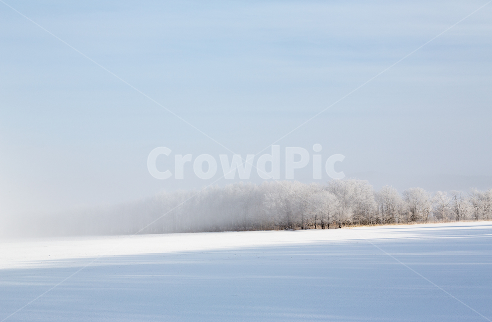 자연,눈,겨울,상고대,비에이,겨울,계절,winter,season,자연,풍경,nature,landscape