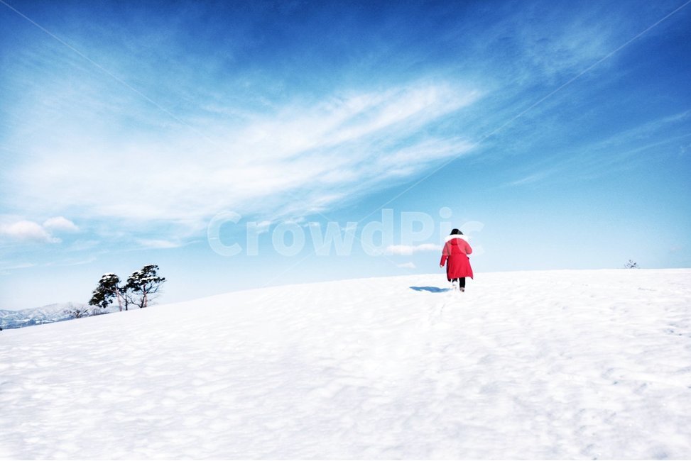 설원,눈밭,눈,겨울,겨울풍경,겨울,계절,winter,season,자연,풍경,nature,landscape,사람,인물,인간,human,person,여성,여자,woman,female,lady,outdoors,옥외