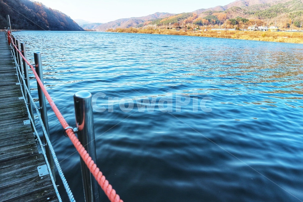 강,강원도,나무,가을,여행,물,자연,풍경,nature,landscape,water,outdoors,옥외