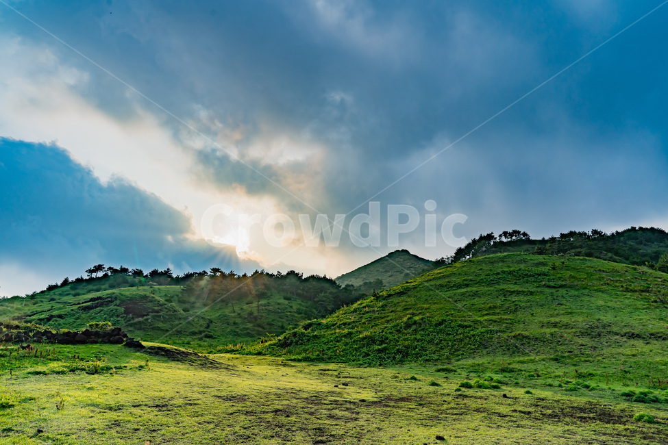 자연,산,들판,언덕,나무,풀,하늘,구름,태양,빛,자연,풍경,nature,landscape,outdoors,옥외,grassland,목초지,field,들