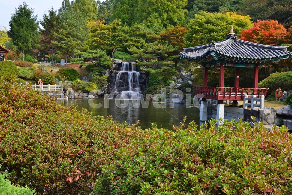 대전,국립대전현충원,현충원,가을,추색,추경,단풍,현충지,현충지반영,연못,water,물,nature,자연,outdoors,옥외,human,인간,person,사람