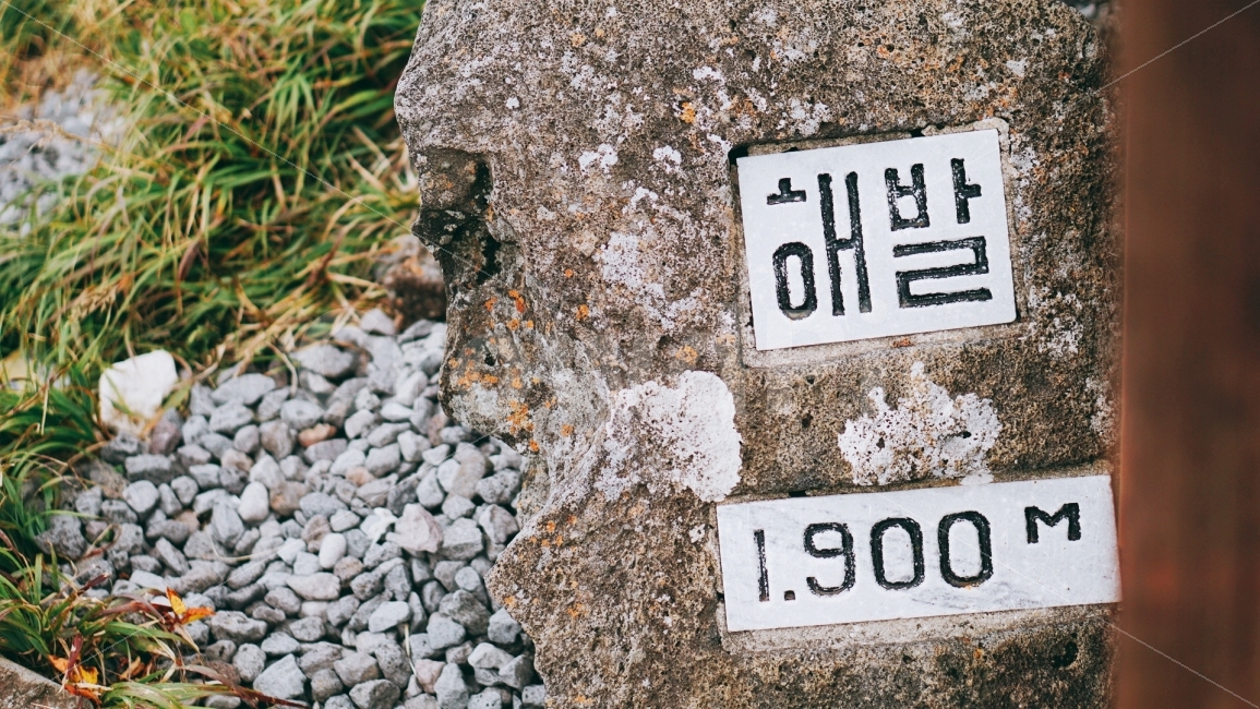 여행,travel,여행사진,국내여행,혼자여행,사진,배경사진,배경,이쁜사진,색감,색감좋은사진,제주도,제주도여행,제주,한라산,고도,해발,감성,sensible,feeling