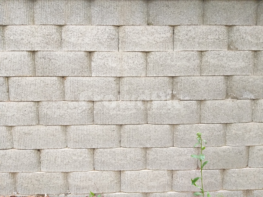 벽,벽돌,아파트,낮,식물,텍스처,질감,패턴,texture,pattern