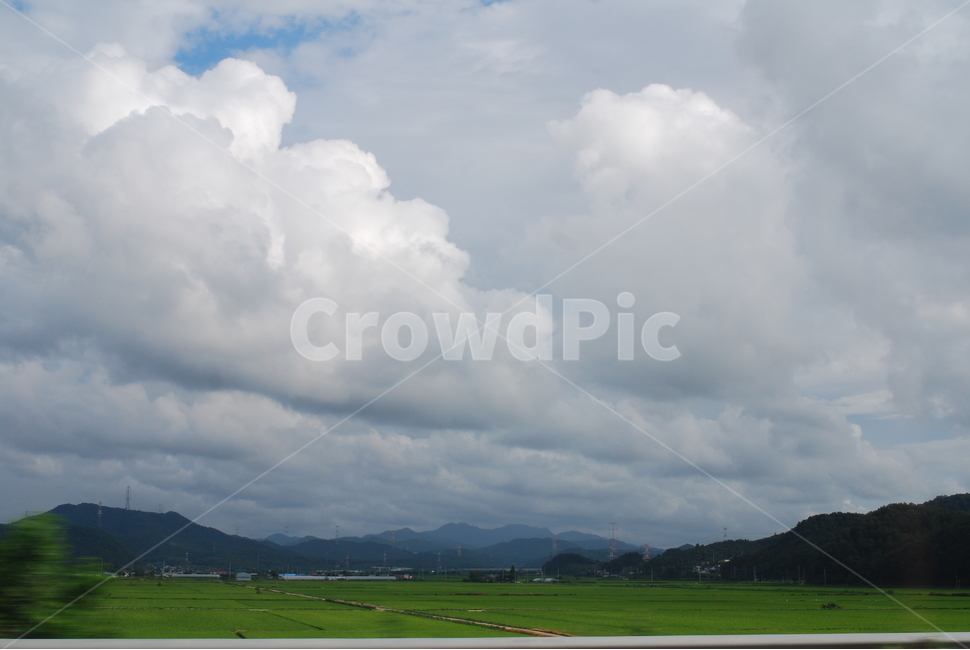 하늘,구름,자연,여름,풍경,자연,풍경,nature,landscape,grass,잔디,plant,식물,outdoors,옥외,weather,날씨